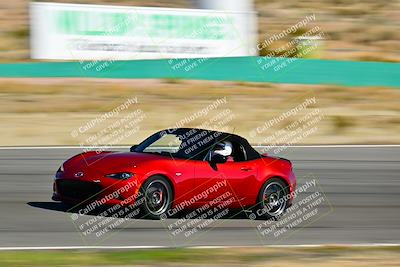 media/Mar-23-2025-West Coast Racing (Sun) [[de161b708f]]/Yellow Group/Session 2 (Turn 1)/